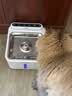 小甜橙猫咪饮水机无线智能宠物饮水机自动喝水器锂电池循环循环 实拍图