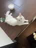 pidan猫砂 豆腐猫砂2.4kg*6包强力吸臭纯猫砂 可冲厕所非膨润土砂 实拍图