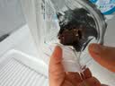 雅垄 藏秘超干牦牛肉干 五香200克  配料简单西藏特产孕妇儿童零食 实拍图