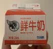 香满楼 屋仔盒装鲜牛奶组装 236ml*6盒 3.3g/100ml乳蛋白巴氏杀菌早餐奶 实拍图