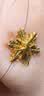 中国黄金（CHINA GOLD）黄金耳钉女士999足金雪花耳钉一对生日中秋节礼物送女朋友老婆 【京速达】足金耳钉约1.2g【甄选礼盒】 实拍图