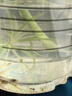 立白健康除菌天然洗衣液24斤手洗机洗15分钟快洗留香除螨抑菌祛味去渍 实拍图