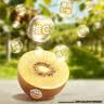 佳沛（zespri）新西兰金奇异果10粒巨大果146-175g猕猴桃中秋节礼品送水果礼盒 实拍图