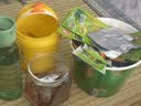 溜溜梅青梅分享桶460g西梅雪梅脆青梅果冻健康休闲零食团购礼包 实拍图