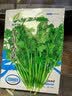 【限时优惠】随种随吃调料菜种子组合春季四季种耐热阳台盆栽蔬菜 小叶香菜种子1包约1000粒 一包约1000粒 实拍图