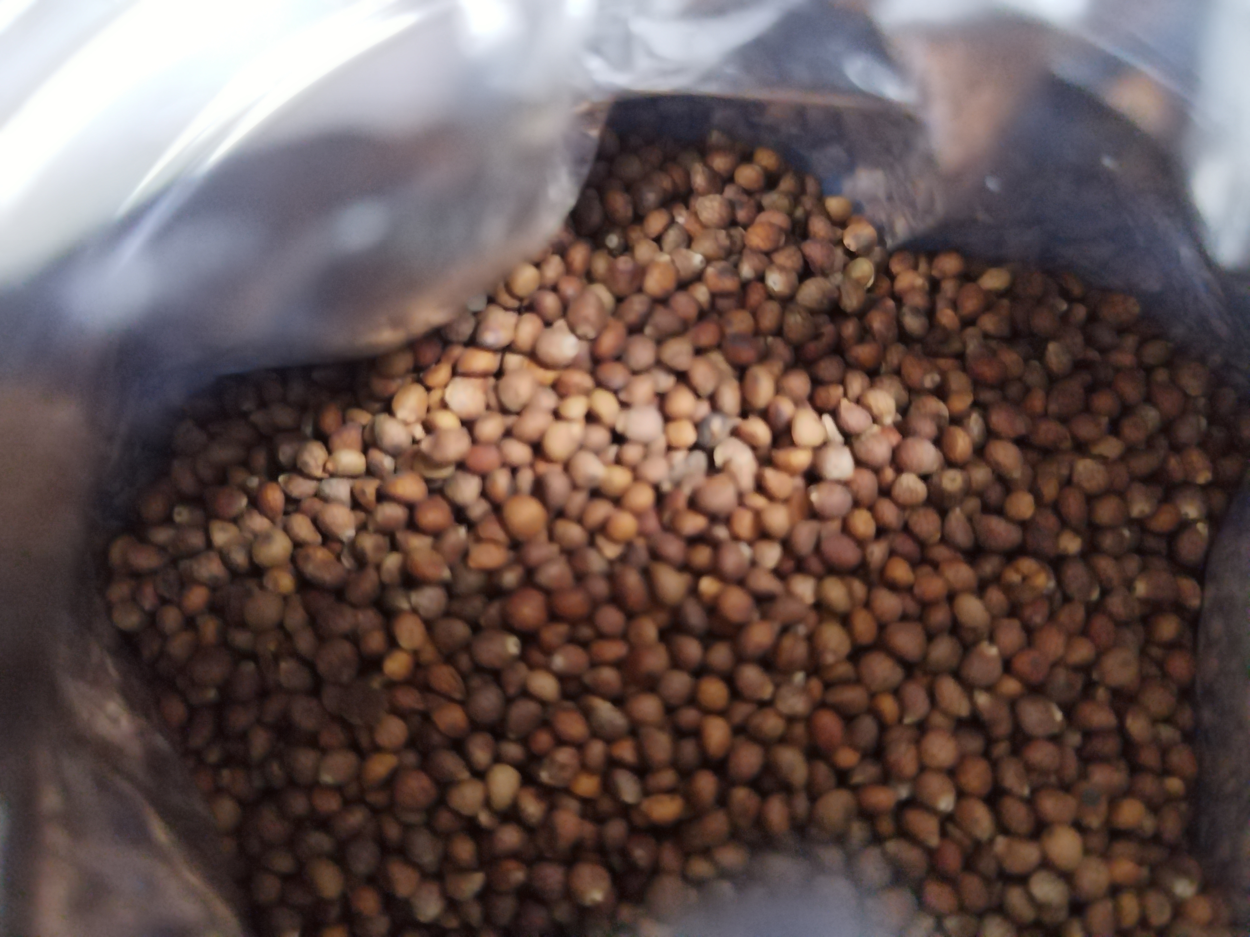 修年堂炒紫苏籽400g/罐紫苏子 熟紫苏子粒粒饱满 精选紫苏籽生紫苏子 实拍图