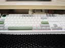 首席玩家NEO108 V2三模机械键盘无线蓝牙2.4G双8K游戏电竞专用低延迟电脑办公108全键 绿野-冰雪静音轴 三模 108键 实拍图