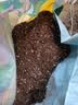 德沃多55L植物营养土通用养花土种菜有机土壤泥炭土绿植盆栽种植 实拍图
