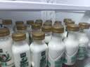 伊利【张凌赫同款】金典有机鲜牛奶260ml*6+金典208ml*6源头直发包邮 实拍图
