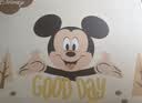 迪士尼（Disney）婴儿衣服0-6个月新生儿礼盒春夏秋冬季男女宝宝满月见面礼待产包 实拍图