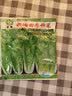 四季奶油快菜种子高产速生耐热菜种子耐高温小白菜菜种子蔬菜种子 【种植简单】四季奶油快菜种子 【新客户尝鲜价】1包约1200粒 实拍图