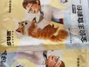 多特思羊奶炖鸡猫主食餐包6包成幼猫湿粮罐头全价猫咪汤包饭 实拍图