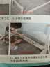 标勋实木床双人1.8米现代简约1.5米家用主卧大床出租屋床1.2m单人床 【床腿30cm高】单床 1500mm*2000mm【推荐】 实拍图