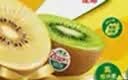 佳沛（zespri）新西兰金奇异果12粒特大果124-146g猕猴桃中秋节礼品送水果礼盒 实拍图
