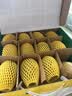 佳沛（zespri）新西兰金奇异果12粒特大果124-146g猕猴桃中秋节礼品送水果礼盒 实拍图