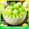 京鲜生 玉菇甜瓜2粒装 单果重2-2.8斤净重4-5.5斤 生鲜水果礼盒 实拍图