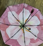 蕉下（beneunder）防紫外线遮阳伞太阳伞防晒伞三折双层黑胶晴雨伞BM011岚影 实拍图