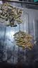 新货净重现炒熟瓜子大颗粒散装原味葵花仔特价生货批新鲜葵花子 【大粒炒熟】10斤装原味瓜子 实拍图