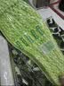 启拓者军训三件套必备用品全套男女生专用鞋垫腰带防暑高中初中大学生 实拍图