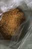 凯锐思天然猫粮成猫粮 鱼肉海洋鱼深海鱼天然粮 成猫20斤【囤货装】 实拍图