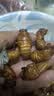 辽梦知了猴新鲜山东活体大号金蝉知了爬叉猴速冻知了龟预制菜肉禽菜肴 甄选丨金蝉知了候【100只】（千人购买）净320g 实拍图
