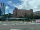 香港澳门上网卡港澳通用5G手机流量上网卡旅游sim卡 3天无限流量 实拍图