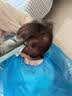 易简（yijan）自动吸发婴儿理发器轻音儿童理发器宝宝剃头器新生儿剪发电推子 实拍图