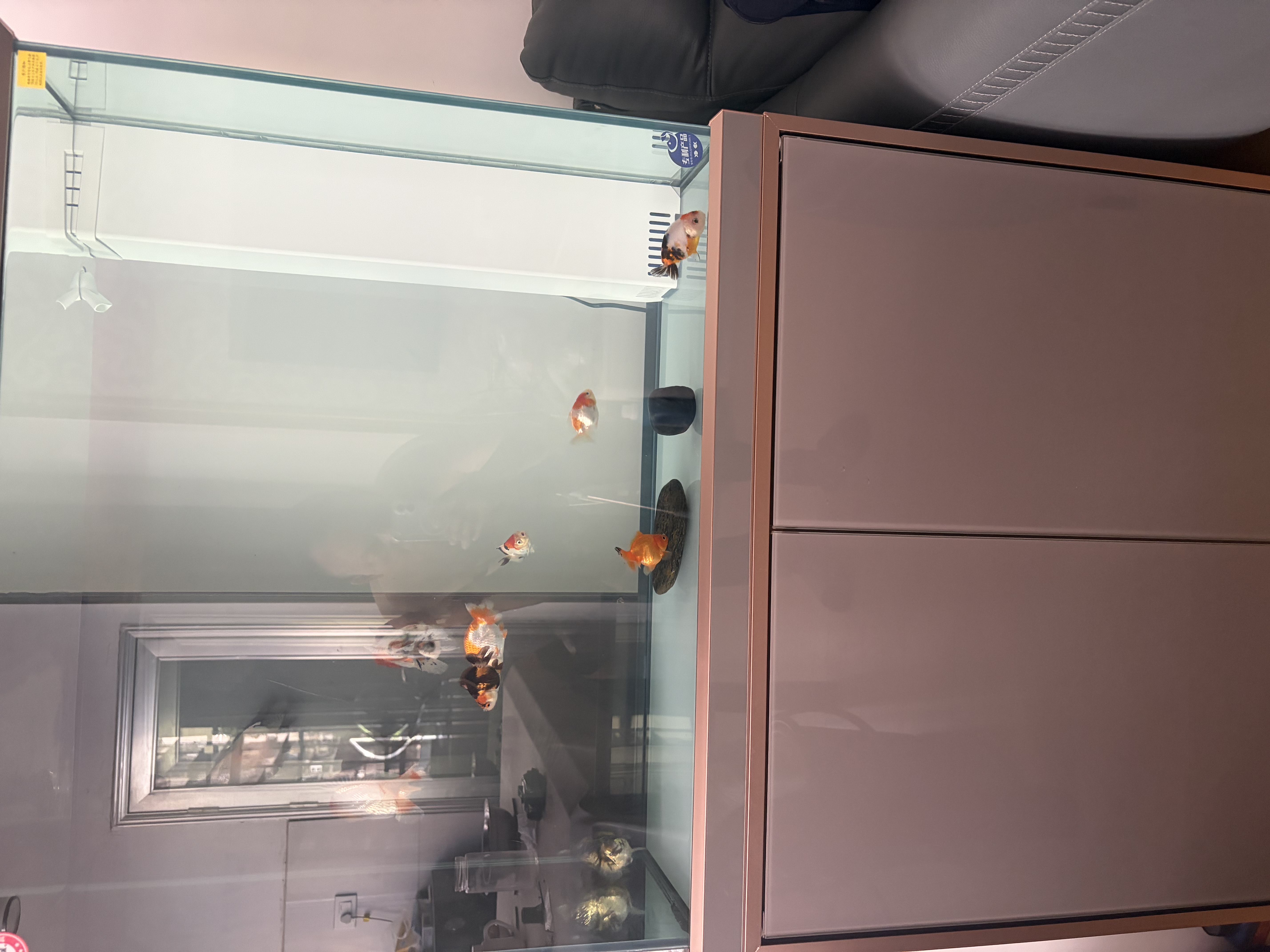 森森（SUNSUN）大型鱼缸底过滤水族箱客厅家用落地玻璃生态金鱼缸 【实时温显+灯控】纳米灰 0.8米长35cm宽 实拍图