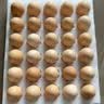 京鲜生 无抗保洁鲜鸡蛋30枚/盒 健康轻食 礼盒送礼 1.5kg/盒 源头直发 实拍图