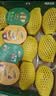 佳沛（zespri）新西兰金奇异果22粒巨大原箱146-175g猕猴桃中秋节礼品送水果礼盒 实拍图