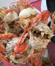 【冷冻】至鲜梭子蟹2.6斤/6-9只整只当季液氮冷冻2.5-5两/只吕四黄海海鲜螃蟹新鲜 实拍图