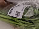 带根香菜100g 实拍图