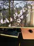 飞利浦EVNIA弈威32英寸 4K240Hz AR3.0黑透屏五层堆叠OLED DP2.1光效TypeC 电竞显示器 天王星32M2N8900X 实拍图