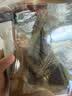美好时光海苔片 桶装罐装即食紫菜原味荞麦拌饭寿司儿童节日零食伴手礼 【原味海苔桶】 100包*1罐 实拍图