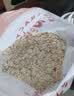 红色拖拉机澳洲进口速食燕麦片即食免煮冲饮谷物早餐麦片1kg 实拍图