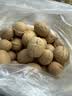 当季新疆 薄皮核桃 阿克苏特产手剥生核桃原味 源头直采 每日坚果 新疆185手剥核桃 （送核桃夹）5斤装 实拍图