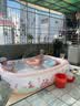 强生婴儿柔泡沐浴露洗发水二合一400ml*2 宝宝儿童泡沫洗护 实拍图