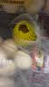 佳沛（zespri）新西兰阳光金奇异果6粒装88-103g猕猴桃水果中秋节礼品送水果礼盒 实拍图