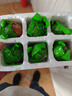 瑾贝13天金凤活珠子五香味50g*10枚新鲜开袋即食加蘸料钢化蛋熟鸡胚蛋 实拍图