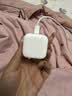 Apple/苹果 40W type-c快充充电器 苹果usb-c原装充电头 旗舰店新款苹果iPhone 17 Pro Max充电器 实拍图