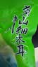 川珍四川青川细木耳100g 椴木种植 黑木耳南北干货山珍土特产火锅食材 实拍图