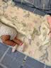 贝肽斯婴儿凉席A类宝宝苎麻凉垫儿童幼儿园午睡床席子假日花园 100*56cm 实拍图