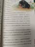 【全4册】森林报四季系列 比安基原著正版彩图美绘版儿童文学三四五六年级课外读物2025万物复书 开学季 实拍图