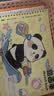 离草a4图画本绘画本特厚护眼画纸儿童幼儿园小学生专用画画纸素描涂鸦美术本可撕开学必备用品4本240页 实拍图