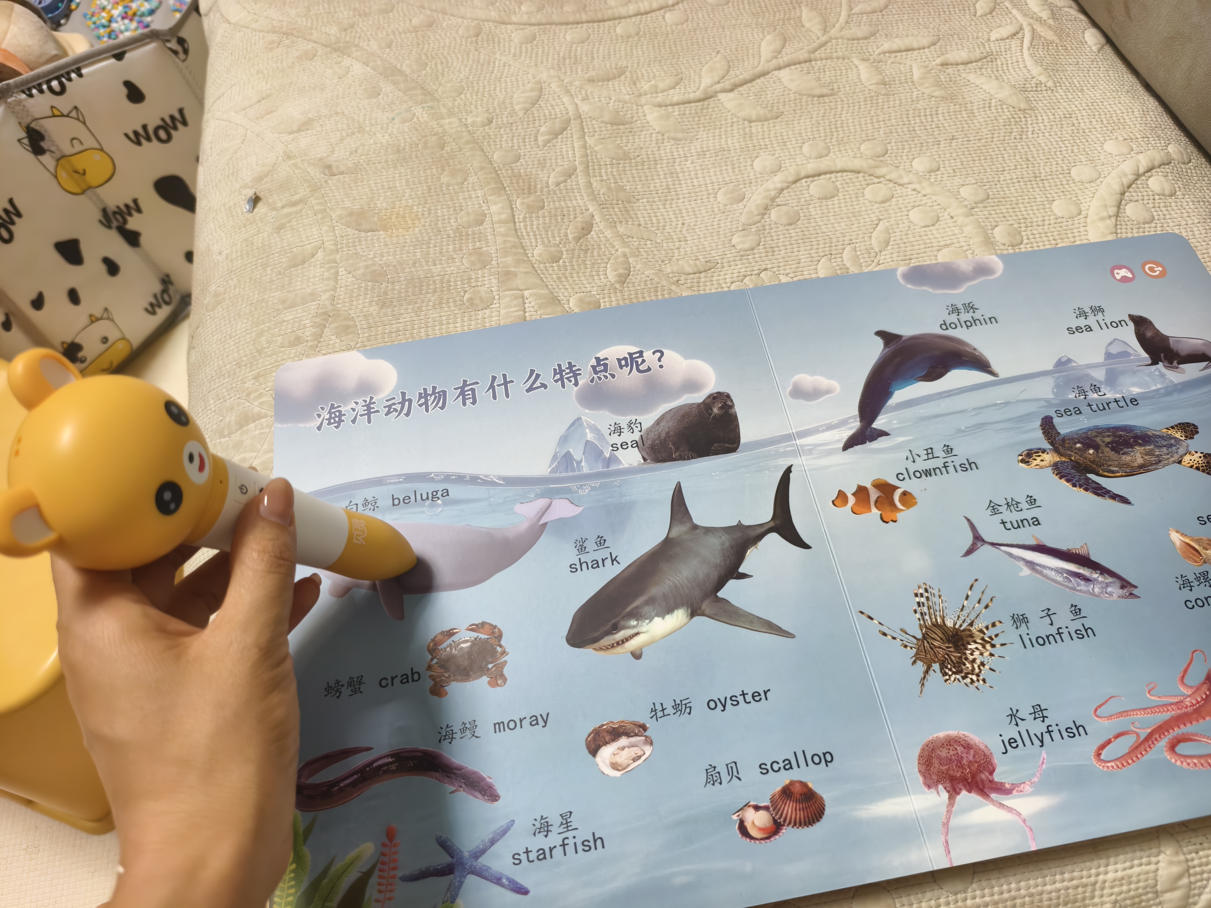 贝灵开放式点读笔幼儿早教0-8岁RAZ通用早教机玩具男孩女孩生日礼物 实拍图