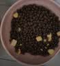 麦富迪猫粮 超肉粒冻干双拼奶糕离乳猫粮呵护免疫 冻干蛋奶2kg 实拍图