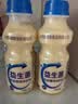 乳酸菌益生菌风味饮料乳酸菌饮品340ml/瓶早餐酸奶好喝 益生菌340ml*2瓶 实拍图