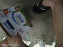 蒙牛低脂高钙牛奶 250ml*16盒 早餐伴侣健身减脂 送礼优选送礼礼盒 实拍图