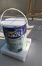 多乐士（Dulux）乳胶漆致悦竹炭抗甲醛五合一净味防霉抗菌油漆涂料A8146白色5L 实拍图