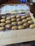 佳沛（zespri）新西兰金奇异果22粒巨大原箱146-175g猕猴桃中秋节礼品送水果礼盒 实拍图